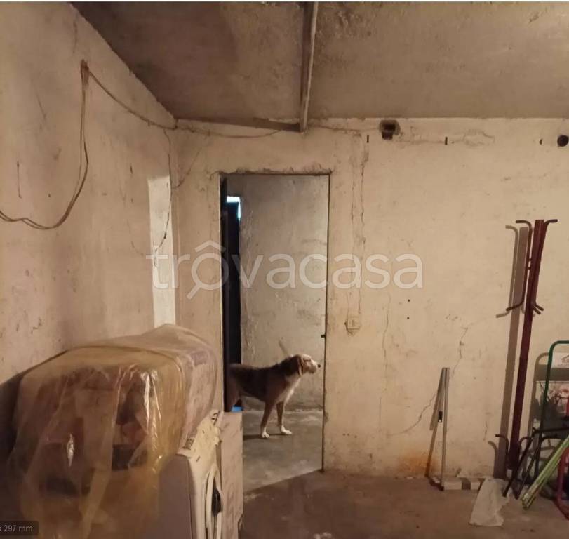 immagine annuncio 4 di 8