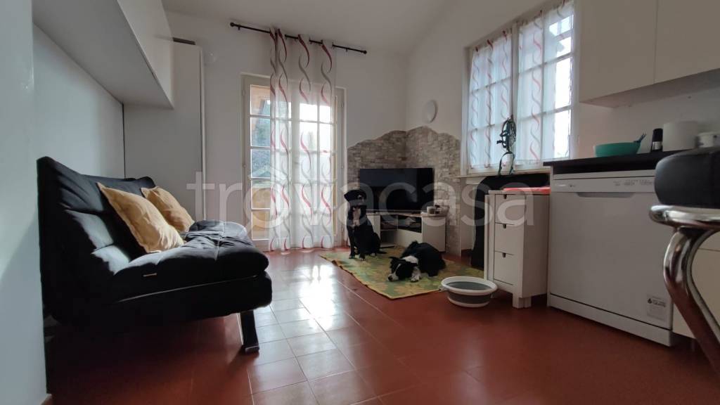 immagine annuncio 3 di 14