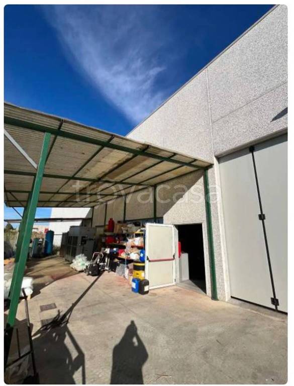 immagine annuncio 2 di 11