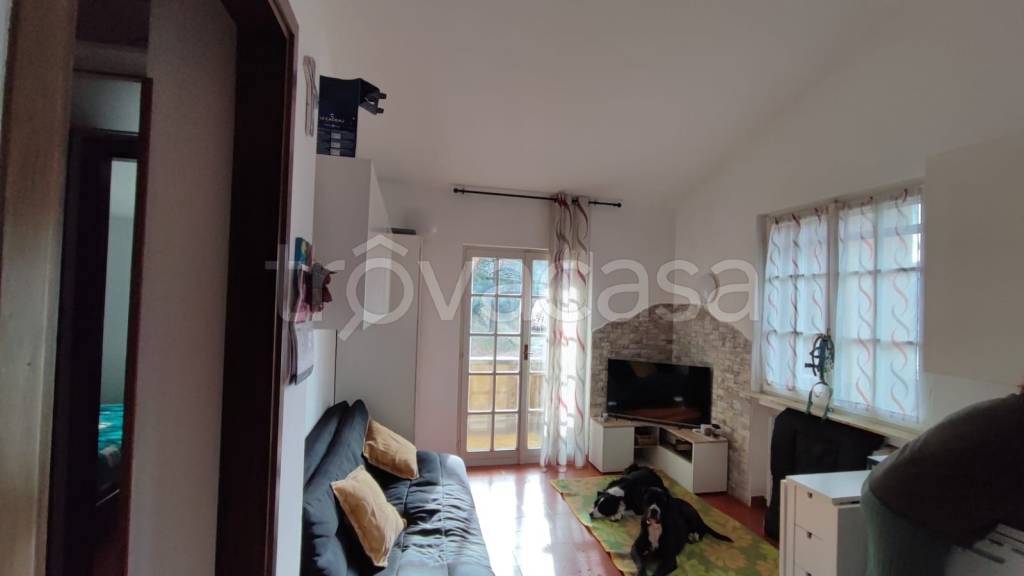 immagine annuncio 4 di 14