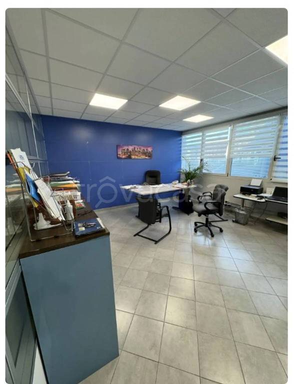 immagine annuncio 8 di 11