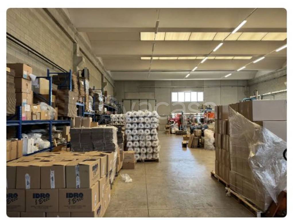 immagine annuncio 10 di 11