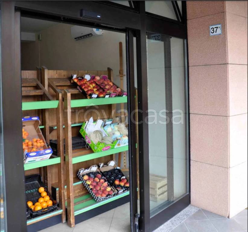 immagine annuncio 2 di 7