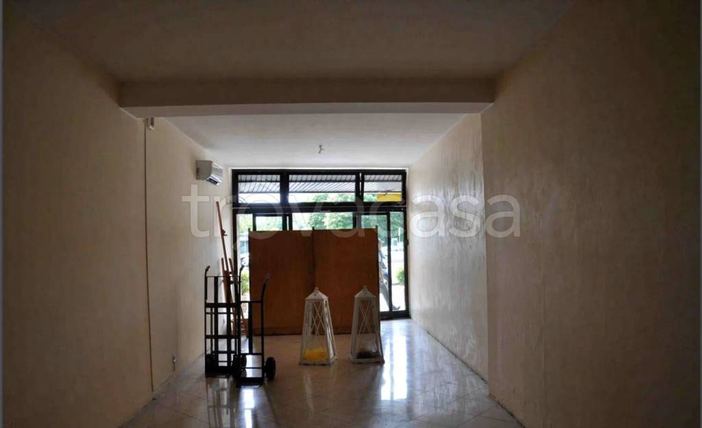 immagine annuncio 4 di 7