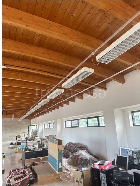 immagine annuncio 8 di 13