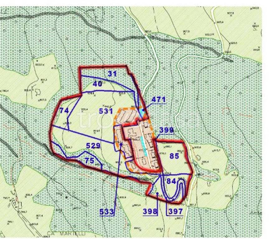 immagine annuncio 9 di 15