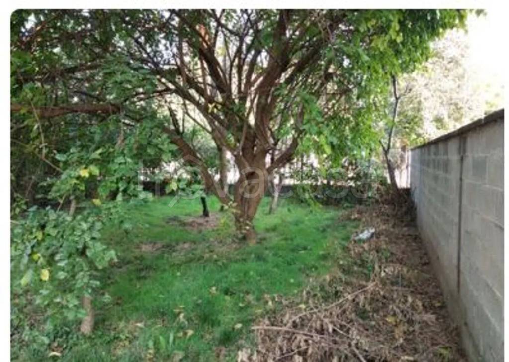 immagine annuncio 9 di 12