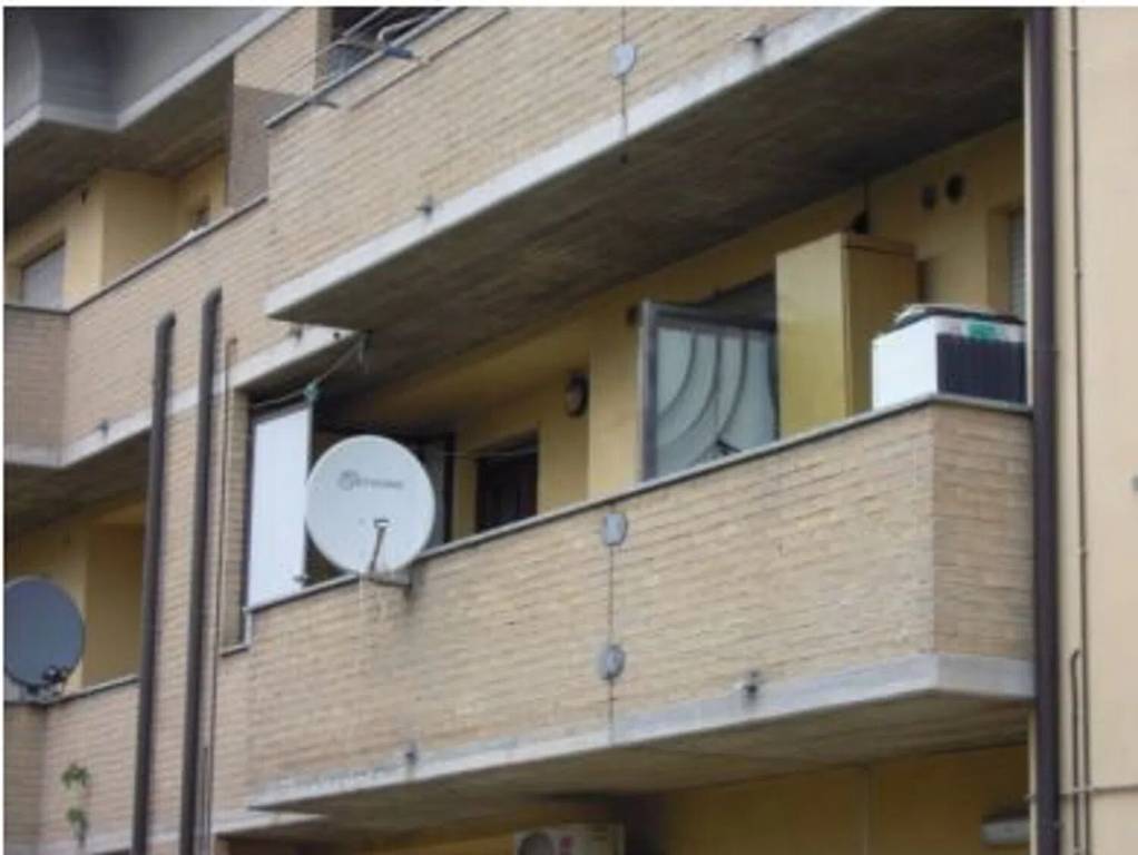 immagine annuncio 2 di 14