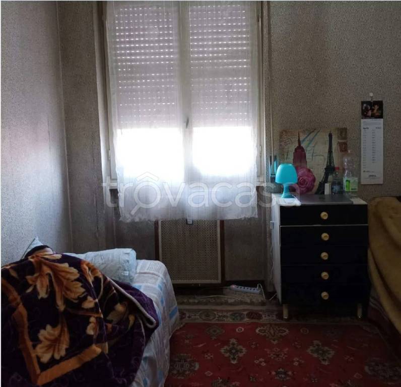 immagine annuncio 6 di 14