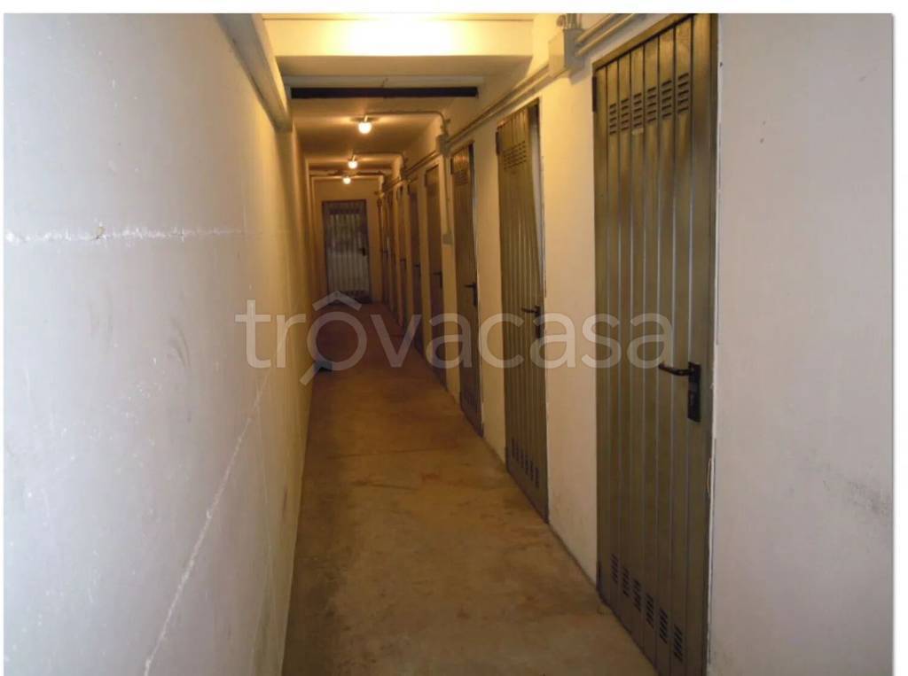 immagine annuncio 11 di 14