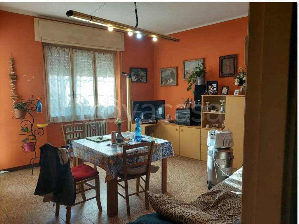 immagine annuncio 3 di 14