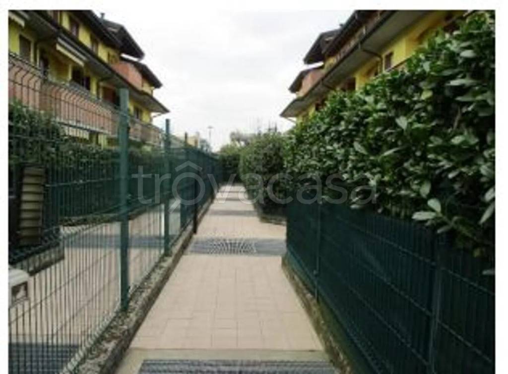 immagine annuncio 2 di 12