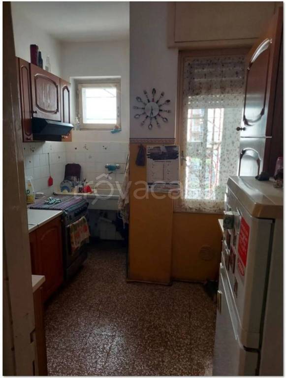 immagine annuncio 9 di 14