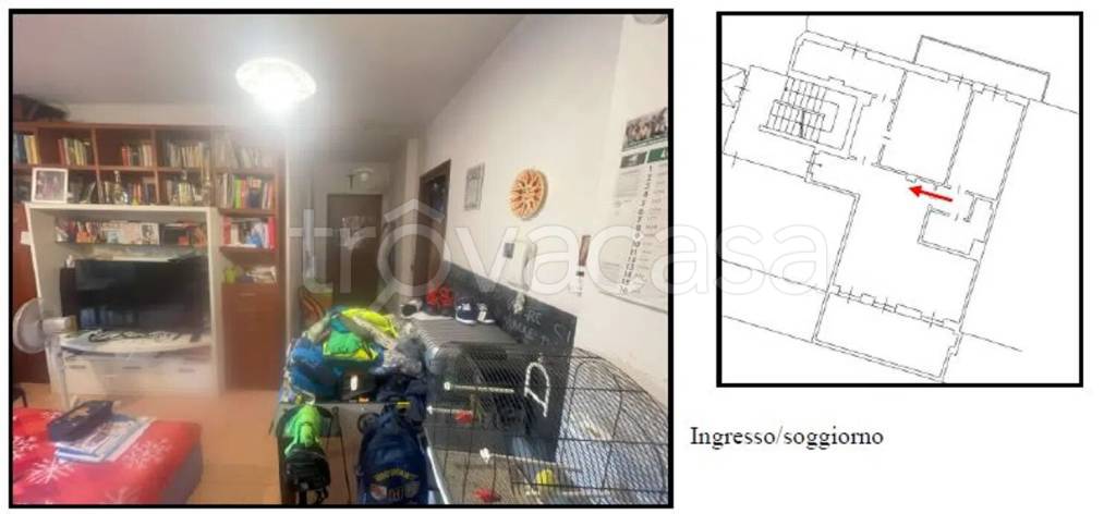 immagine annuncio 5 di 15