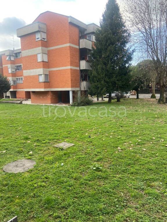 immagine annuncio 2 di 13