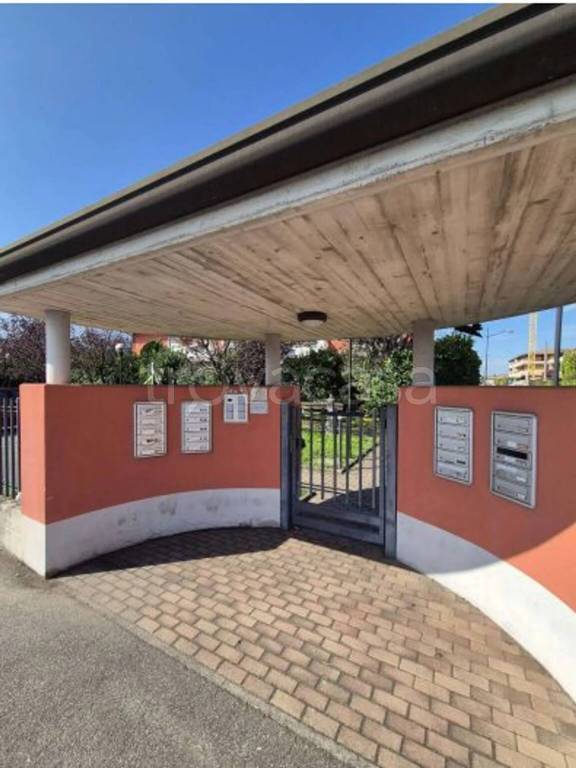 immagine annuncio 1 di 11