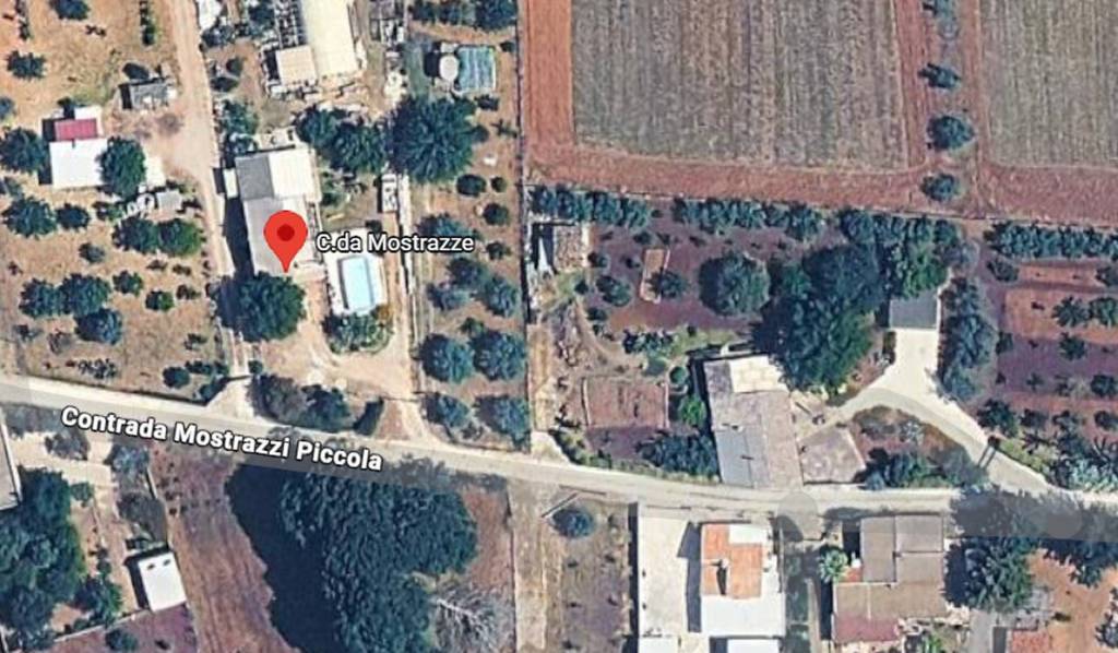 immagine annuncio 3 di 11