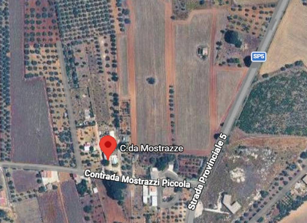 immagine annuncio 5 di 11