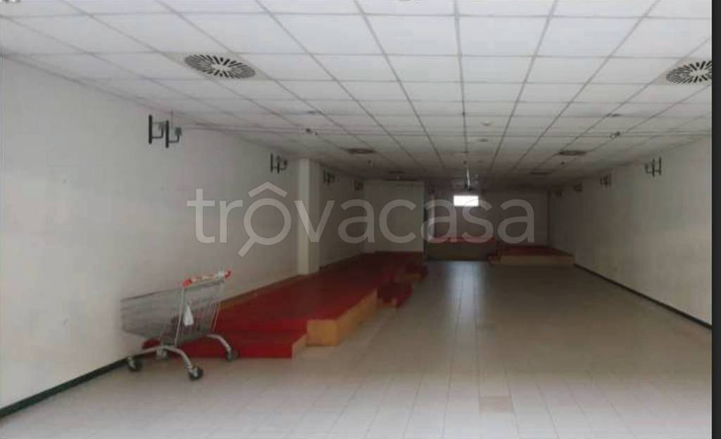 immagine annuncio 7 di 11