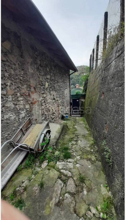 immagine annuncio 9 di 11