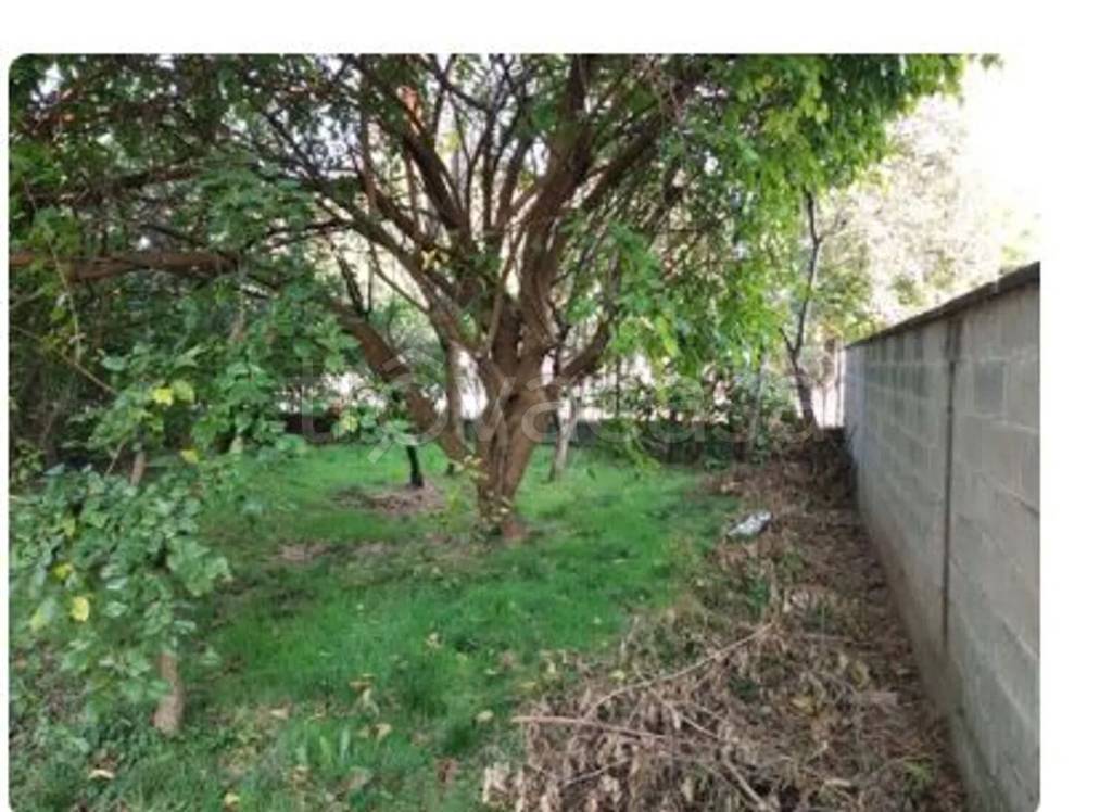 immagine annuncio 11 di 14