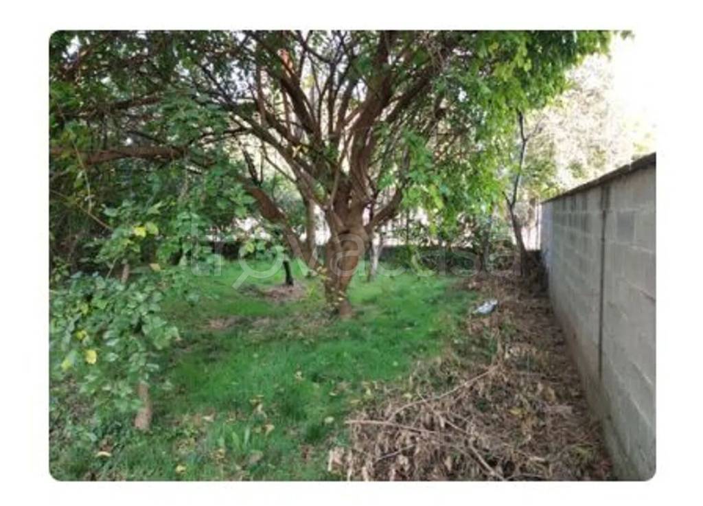 immagine annuncio 9 di 12