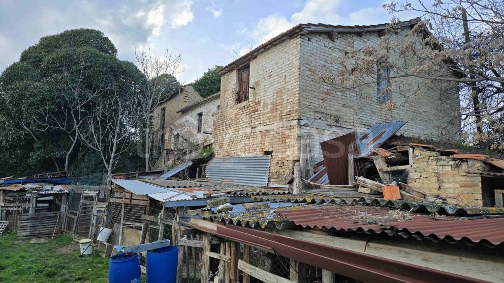 immagine annuncio 1 di 13