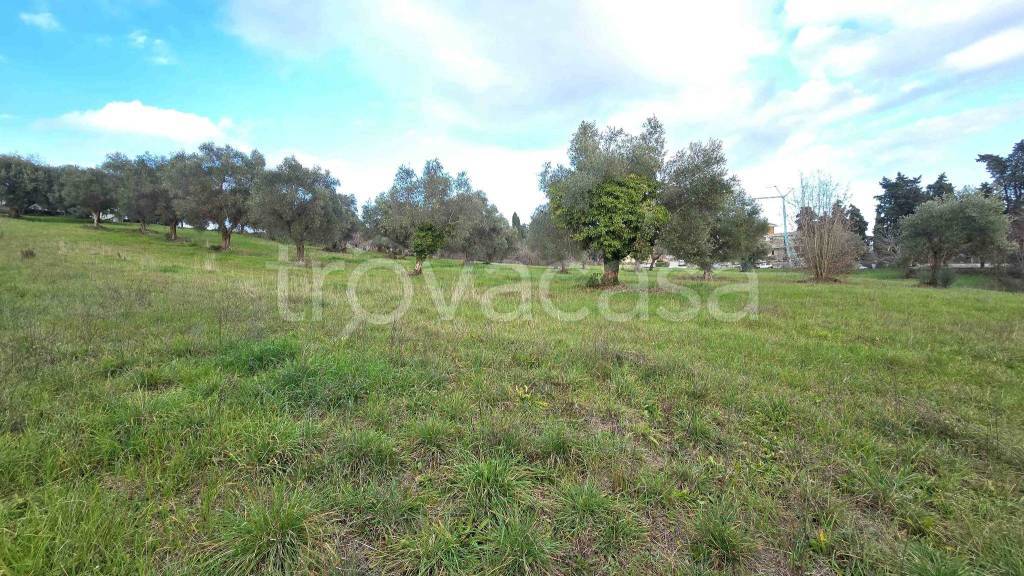 immagine annuncio 6 di 13