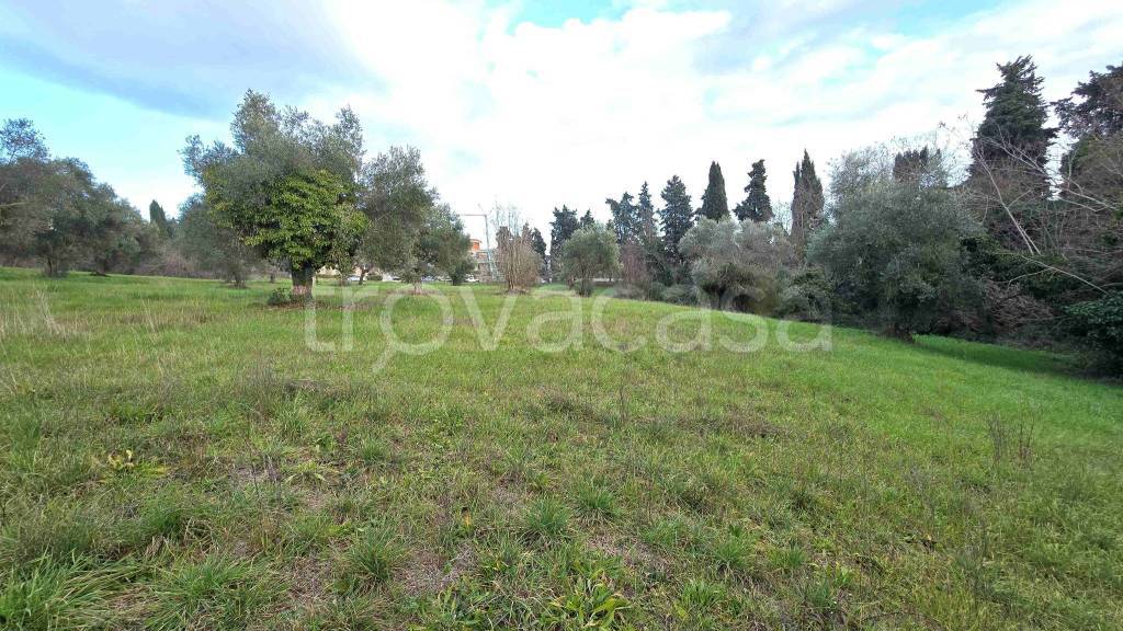 immagine annuncio 7 di 13