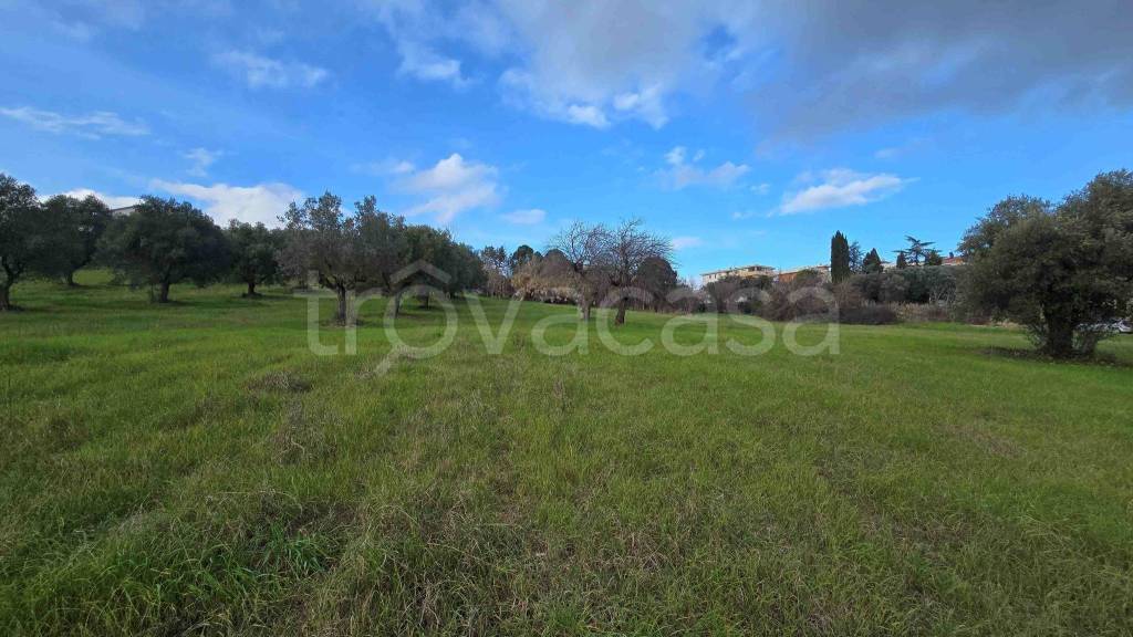 immagine annuncio 8 di 13