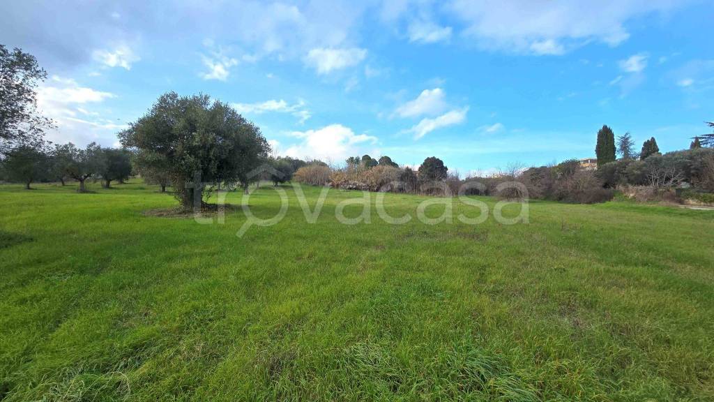 immagine annuncio 9 di 13