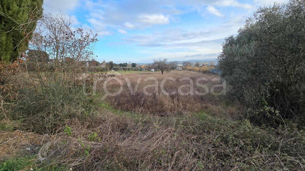 immagine annuncio 10 di 13