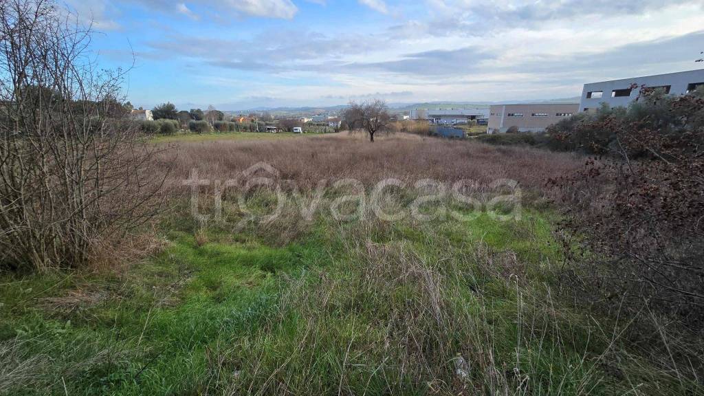 immagine annuncio 11 di 13