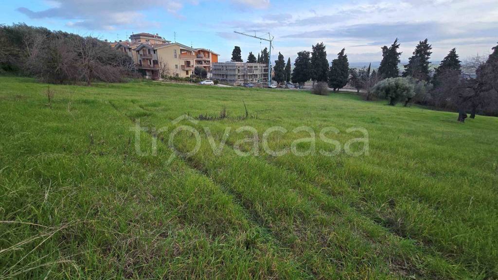 immagine annuncio 5 di 13