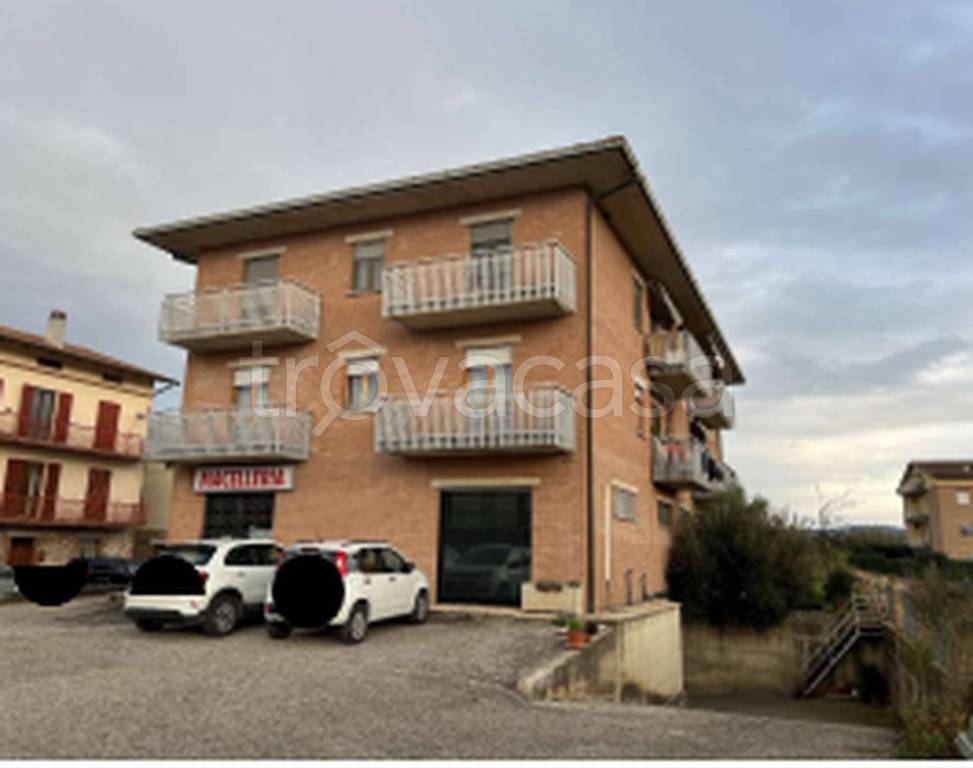 immagine annuncio 6 di 11