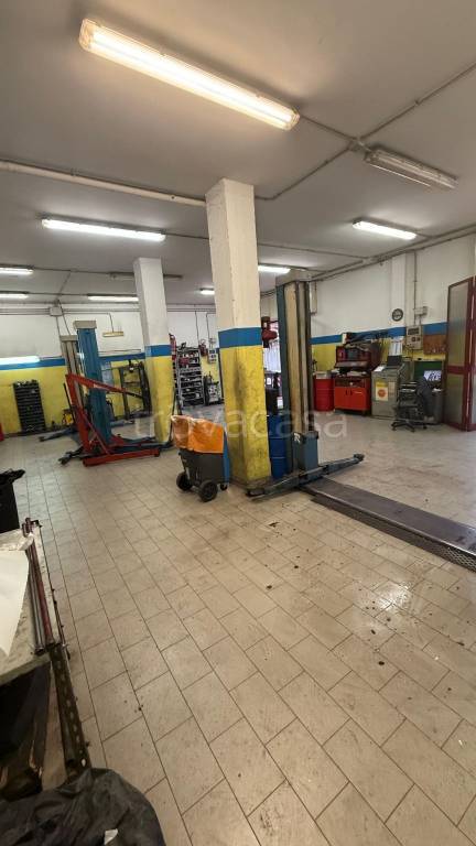 immagine annuncio 3 di 13