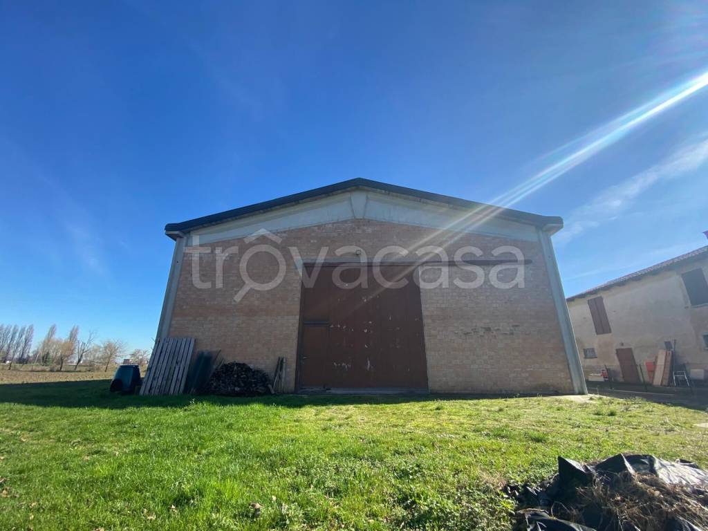 immagine annuncio 4 di 7