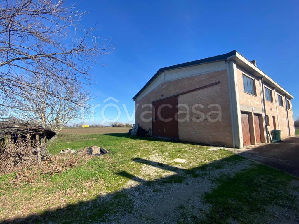 immagine annuncio 5 di 7