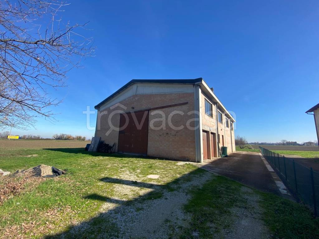 immagine annuncio 6 di 7