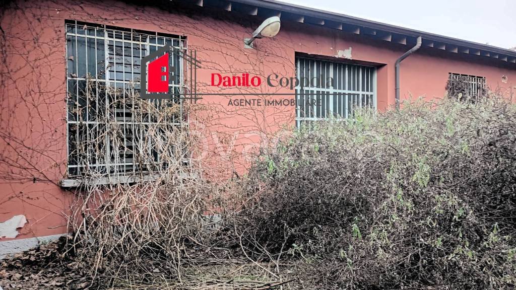 immagine annuncio 11 di 15