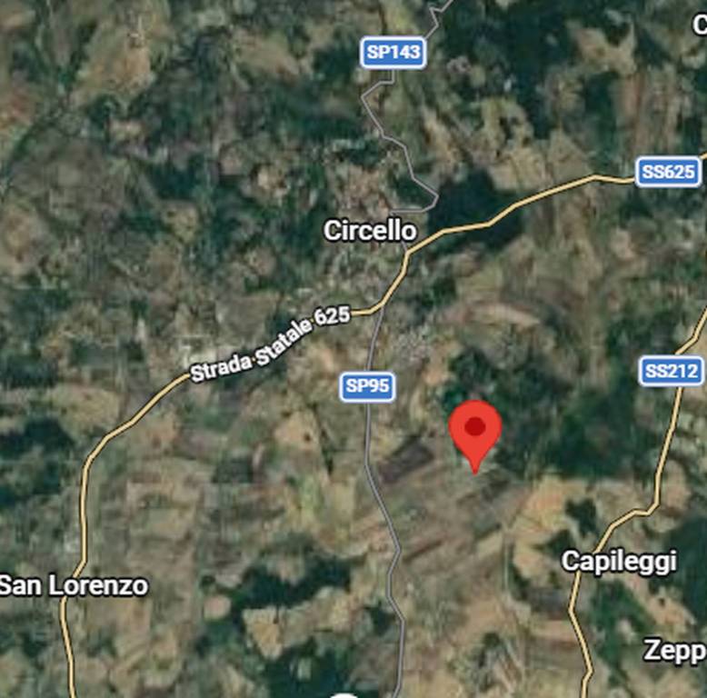 immagine annuncio 11 di 12