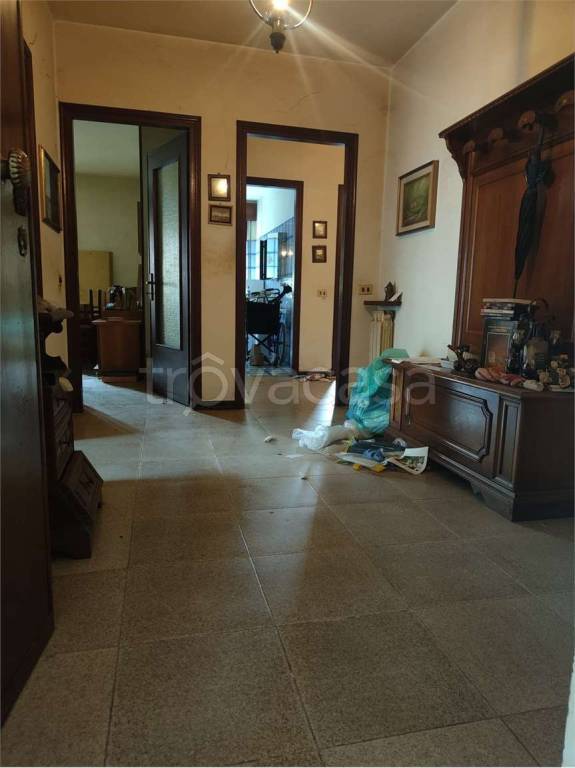 immagine annuncio 5 di 14