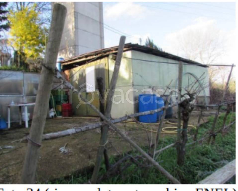 immagine annuncio 3 di 11