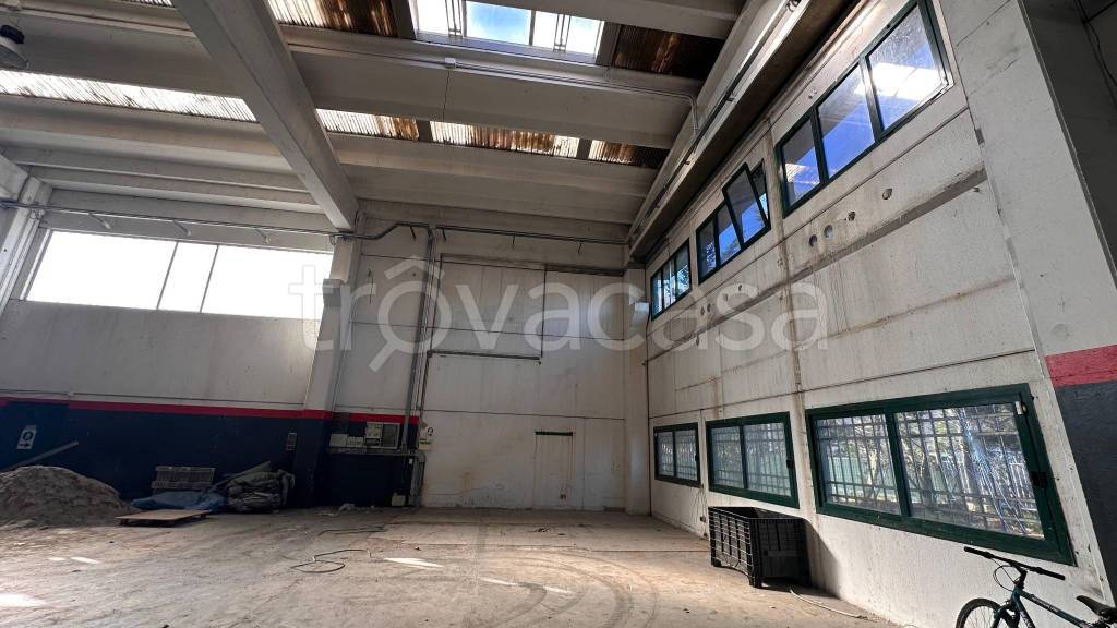 immagine annuncio 3 di 7