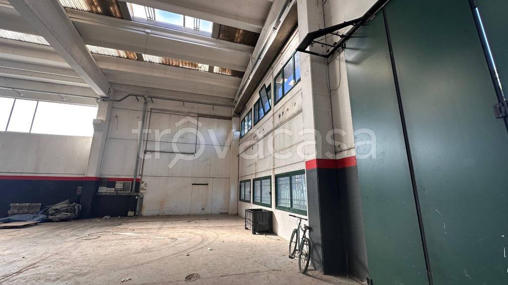 immagine annuncio 4 di 7