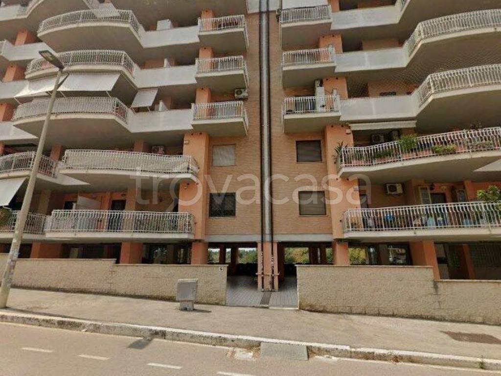 immagine annuncio 12 di 13