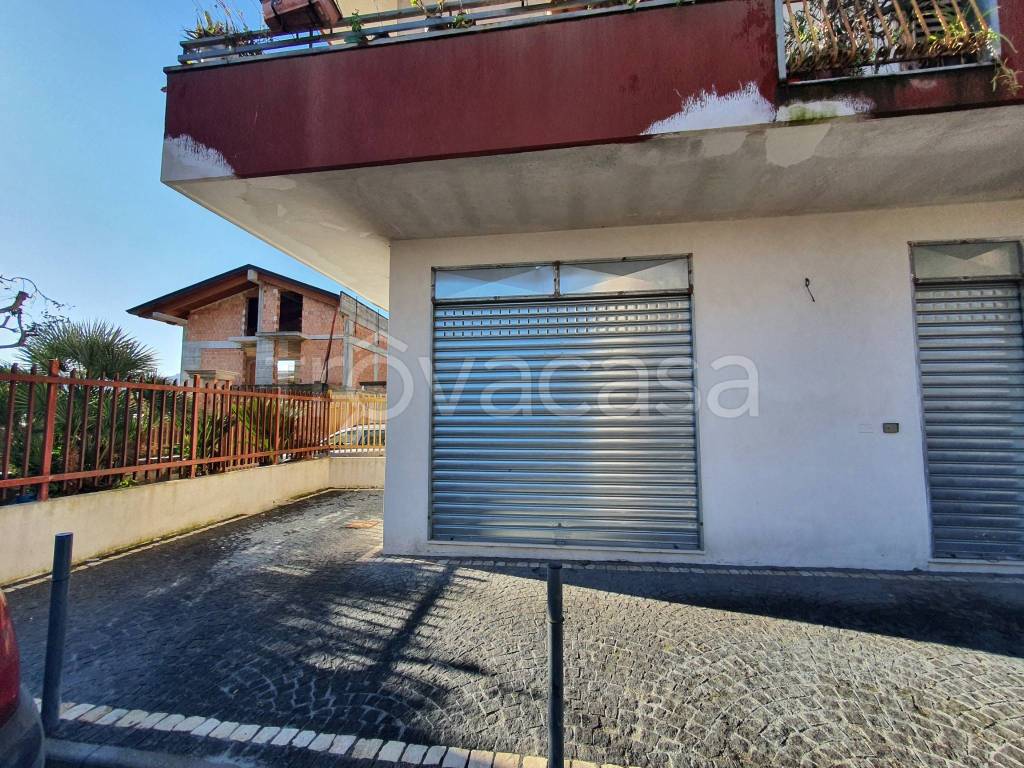 immagine annuncio 12 di 14