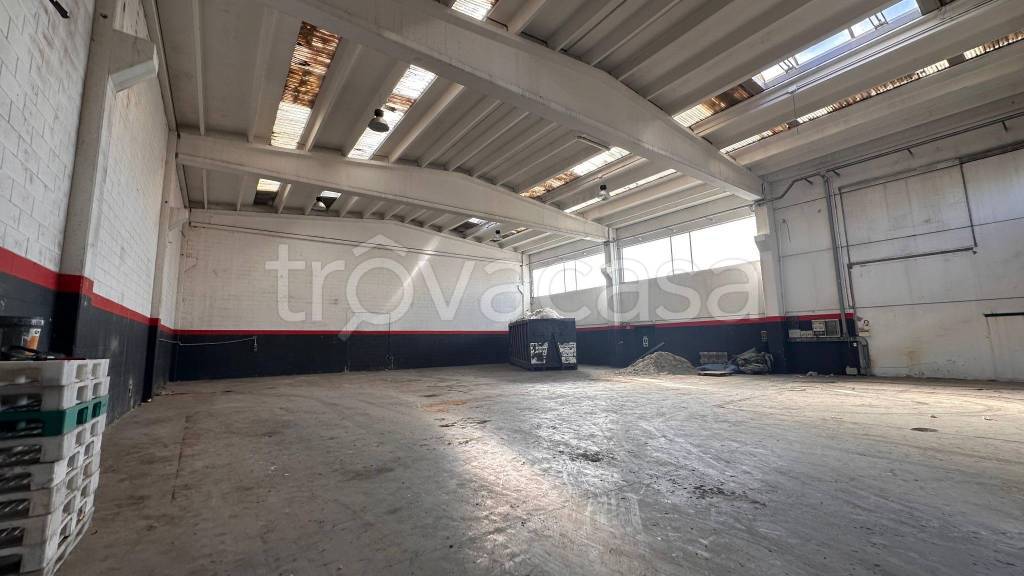 immagine annuncio 5 di 7