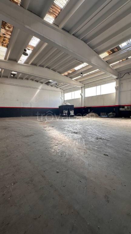 immagine annuncio 6 di 7