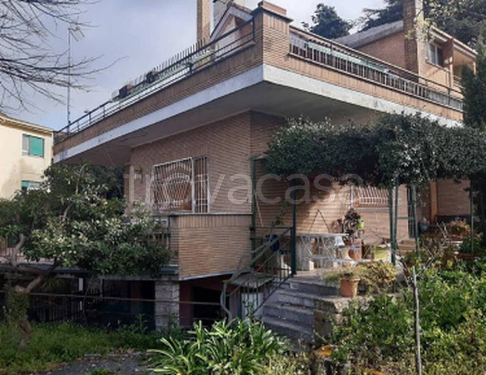 immagine annuncio 7 di 13